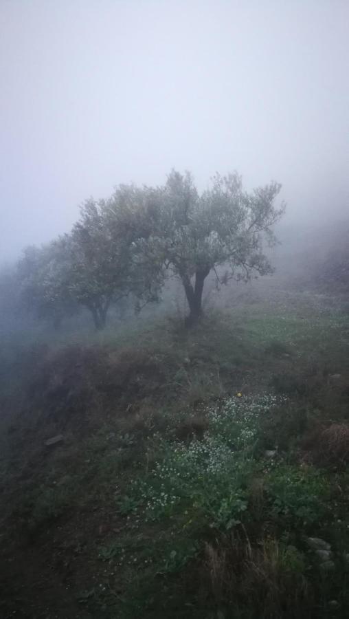 דירות פריחיליאנה Casa Del Cielo מראה חיצוני תמונה