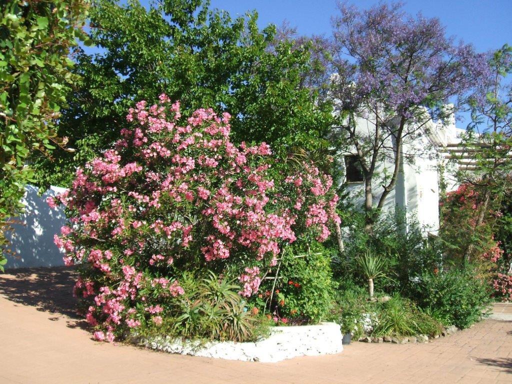 דירות פריחיליאנה Casa Del Cielo מראה חיצוני תמונה